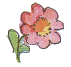 Une fleur
