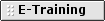 E-Training – Internet basiertes Lernen etc. E-Training