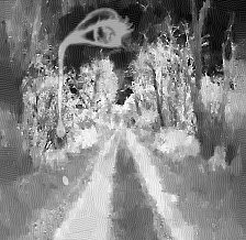 strasse-einsametraume