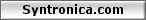 Syntronica.com