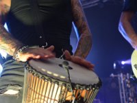 TribU2 bei Sindelfingen rockt, 30.8.2017